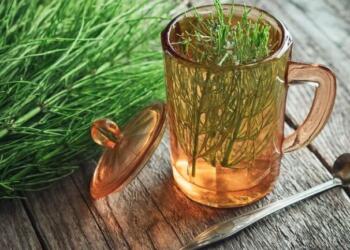 Το βότανο που διώχνει το άγχος, τονώνει τη μνήμη και την άμυνα