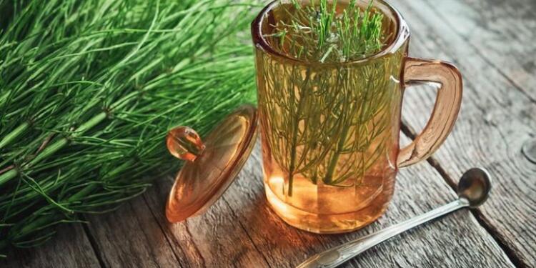 Το βότανο που διώχνει το άγχος, τονώνει τη μνήμη και την άμυνα