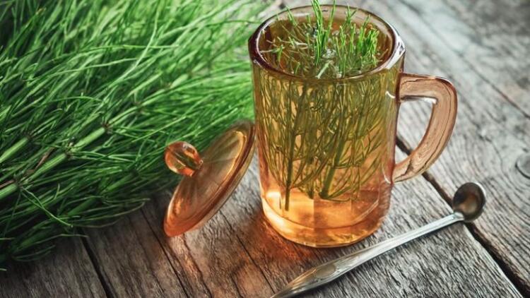 Το βότανο που διώχνει το άγχος, τονώνει τη μνήμη και την άμυνα