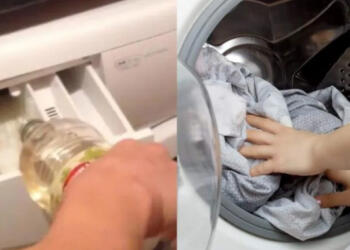 Το κόλπο που ελάχιστοι γνωρίζουν: Έριξε λευκό ξίδι στο πλυντήριο ρούχων και έμεινε έκπληκτη με το αποτέλεσμα