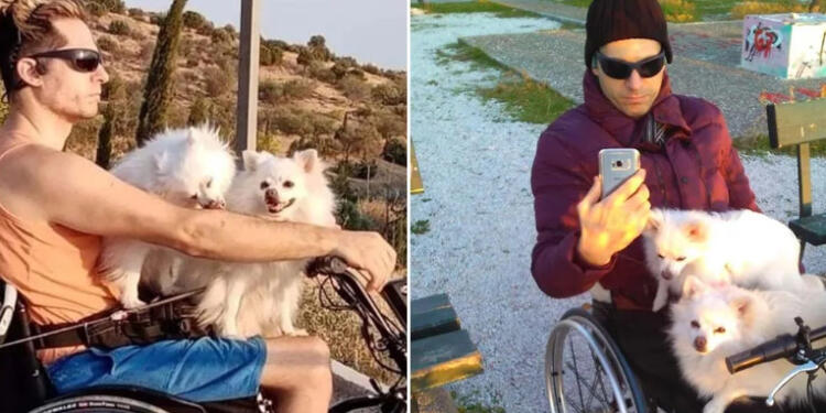 Παρέσυραν και σκότωσαν τον 40χρονο Γιώργο και τα σκυλάκια του – Θρήνος στη Γλυφάδα: «Τώρα θα γίνεις άγγελος πραγματικός»