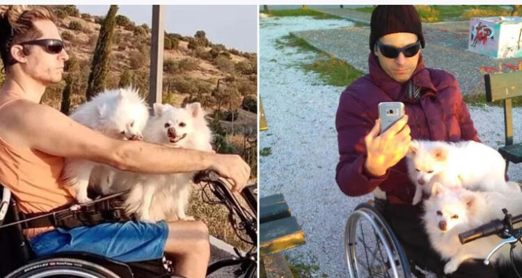 Παρέσυραν και σκότωσαν τον 40χρονο Γιώργο και τα σκυλάκια του – Θρήνος στη Γλυφάδα: «Τώρα θα γίνεις άγγελος πραγματικός»