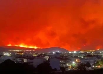 Δίχως τέλος η μεγαλύτερη φωτιά της Ευρώπης, πύρινος εφιάλτης στον Έβρο για 12η νύχτα – Αναδάσωση υπόσχεται η κυβέρνηση