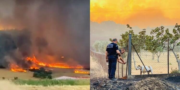 Φωτιά στην Αλεξανδρούπολη: Αστυνομικοί έσωσαν εγκλωβισμένο σκύλο (photo)