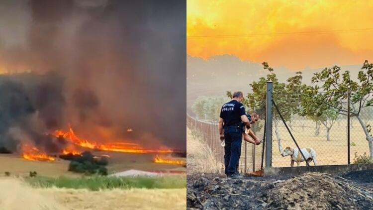 Φωτιά στην Αλεξανδρούπολη: Αστυνομικοί έσωσαν εγκλωβισμένο σκύλο (photo)