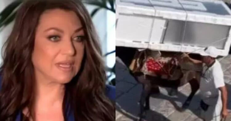 Ξέσπασε η Καίτη Γαρμπή: «Ύδρα, το νησί της αριστοκρατίας και των γαϊδουριών! Φτου σας!»