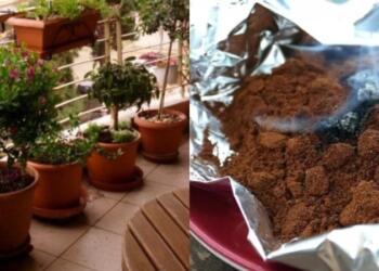 Καίει καφέ σε αλουμινόχαρτο έξω στο μπαλκόνι και απαλλάσσεται από το μεγαλύτερο βασανιστήριο του καλοκαιριού