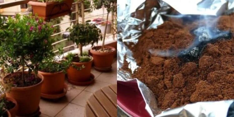 Καίει καφέ σε αλουμινόχαρτο έξω στο μπαλκόνι και απαλλάσσεται από το μεγαλύτερο βασανιστήριο του καλοκαιριού