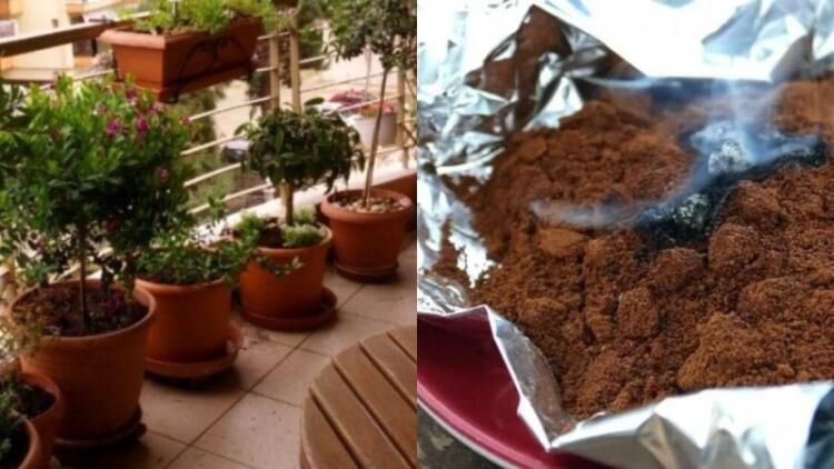 Καίει καφέ σε αλουμινόχαρτο έξω στο μπαλκόνι και απαλλάσσεται από το μεγαλύτερο βασανιστήριο του καλοκαιριού