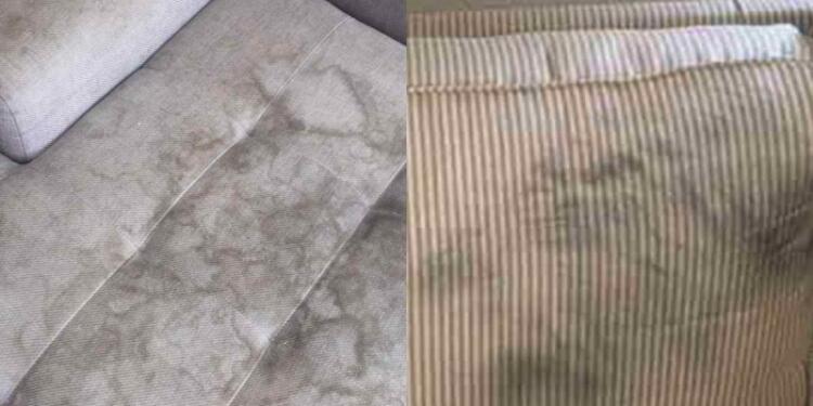 Λερωμένος καναπές: Το κόλπο που εξαφανίζει λαδιές, τρίχες και μυρωδιές από ζώα