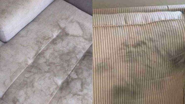 Λερωμένος καναπές: Το κόλπο που εξαφανίζει λαδιές, τρίχες και μυρωδιές από ζώα