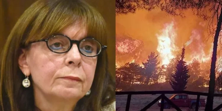 Συγκλονισμένη η Κατερίνα Σακελλαροπούλου με τους νεκρούς μετανάστες στο δάσος της Δαδιάς – Η δήλωση της