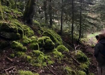 Η βόλτα στο δάσος αποδείχτηκε… χρυσωρυχείο, βγήκε κατά 1 εκατ. δολάρια πλουσιότερος