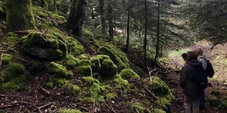 Η βόλτα στο δάσος αποδείχτηκε… χρυσωρυχείο, βγήκε κατά 1 εκατ. δολάρια πλουσιότερος