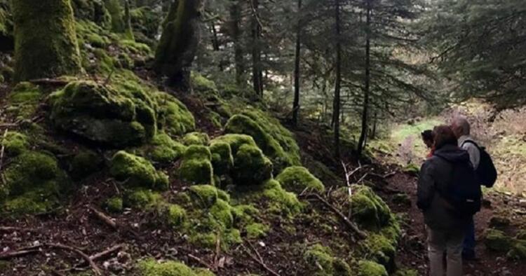 Η βόλτα στο δάσος αποδείχτηκε… χρυσωρυχείο, βγήκε κατά 1 εκατ. δολάρια πλουσιότερος