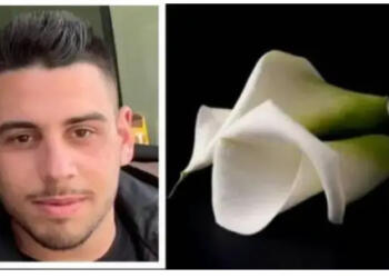 Μοιραίο μεροκάματο για 26χρονο, Αντώνη-Εργαζόταν ως Διανομέας και ”Έσβησε” στην άσφαλτο[Φωτογραφία]