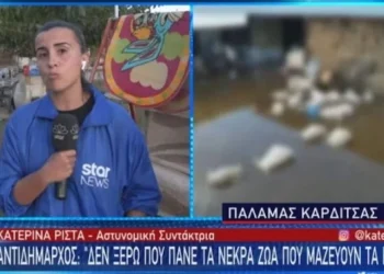 Επικη Αντρίδραση απο την δικιά μας Κατερίνα Ρίστα, προς τους αναρμόδιους – αρμόδιους κρατικούς φορείς στον Παλαμά Καρδίτσας