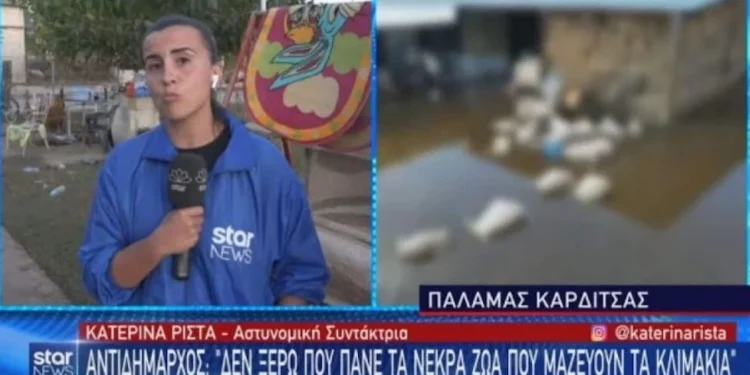 Επικη Αντρίδραση απο την δικιά μας Κατερίνα Ρίστα, προς τους αναρμόδιους – αρμόδιους κρατικούς φορείς στον Παλαμά Καρδίτσας