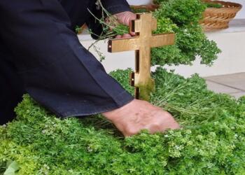 Γιατί Σήμερα Στη Γιορτή Της Ύψωσης Του Τιμίου Σταυρού Μοιράζουν Βασιλικό Στις Εκκλησίες