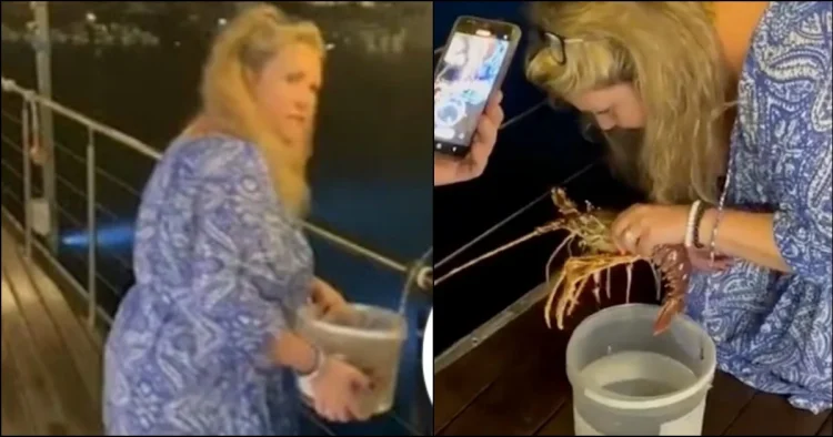 Τουρίστρια πλήρωσε 200 ευρώ για αστακό σε εστιατόριο και τον άφησε ελεύθερο στη θάλασσα