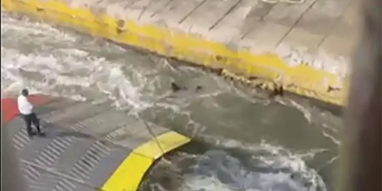 Επιβάτης Blue Horizon: «Ο άνθρωπος πνιγόταν και τον κοιτούσαν – Πήγα στον καπετάνιο και εκείνος έκλεισε την πόρτα δεν ασχολήθηκε καν»