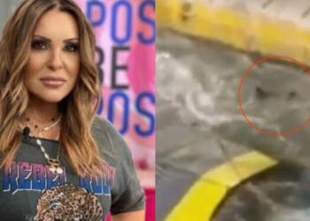 Κάποιος έπρεπε επιτέλους να το πει!: Η Ναταλία Γερμανού είπε για το πλήρωμα του Blue Horizon ό,τι σκεφτόμαστε όλοι