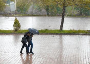 coupe walking in street while raining