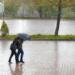 coupe walking in street while raining