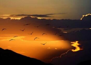 Σοκ – Τι παθαίνουν αυτοί που καταριούνται;