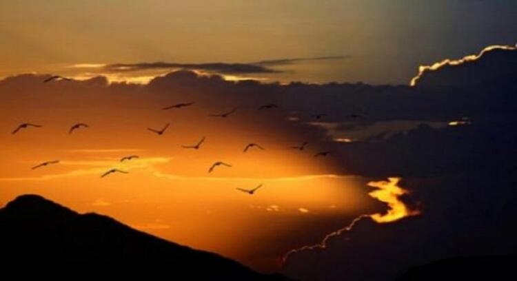 Σοκ – Τι παθαίνουν αυτοί που καταριούνται;