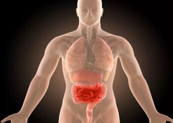 Γιατρός: Αυτή είναι η καλύτερη σαλάτα που καθαρίζει τα έντερα από οτιδήποτε τοξικό και περιττό