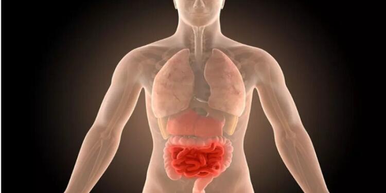 Γιατρός: Αυτή είναι η καλύτερη σαλάτα που καθαρίζει τα έντερα από οτιδήποτε τοξικό και περιττό