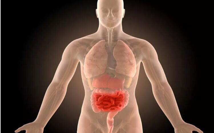 Γιατρός: Αυτή είναι η καλύτερη σαλάτα που καθαρίζει τα έντερα από οτιδήποτε τοξικό και περιττό