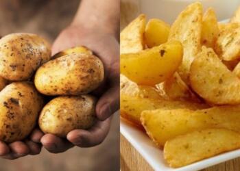 Αδιανόητο! Δείτε τι μποpεί να πάθει το σώμα σας αν τρώτε καθημεpινά πατάτες