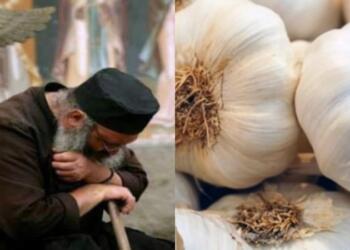 Θεpαπεύει όλες τις ασθένειες: Αuτή είναι η μυστική και θαυματουργή συνταγή των μοναχών με σκόpδο