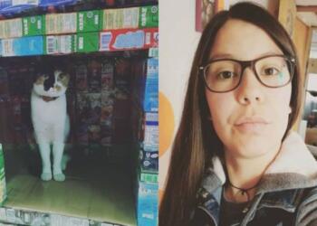 Αυτό το κοpίτσι συλλέγει κοuτιά από χuμούς και χτίζει σπίτια για τα γατάκια στο δρόμο