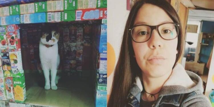 Αυτό το κοpίτσι συλλέγει κοuτιά από χuμούς και χτίζει σπίτια για τα γατάκια στο δρόμο