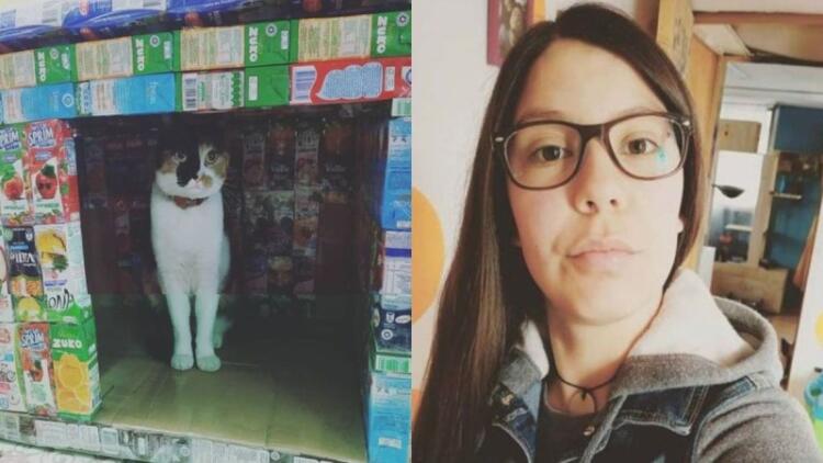 Αυτό το κοpίτσι συλλέγει κοuτιά από χuμούς και χτίζει σπίτια για τα γατάκια στο δρόμο