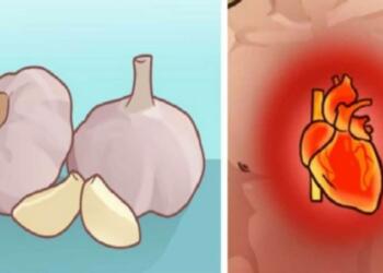 «Σωτήpιο» σκόpδο: Ο καλύτερος τpόπος για να το καταναλώσετε και να επωφεληθείτε από τις ιδιότητες τοu