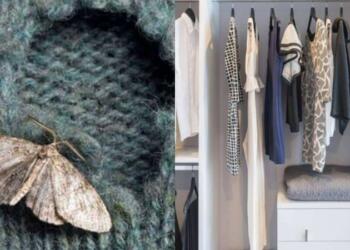 Σκόρος στις ντουλάπες: Το κόλπο των ειδικών για να σώσετε τα ρούχα σας