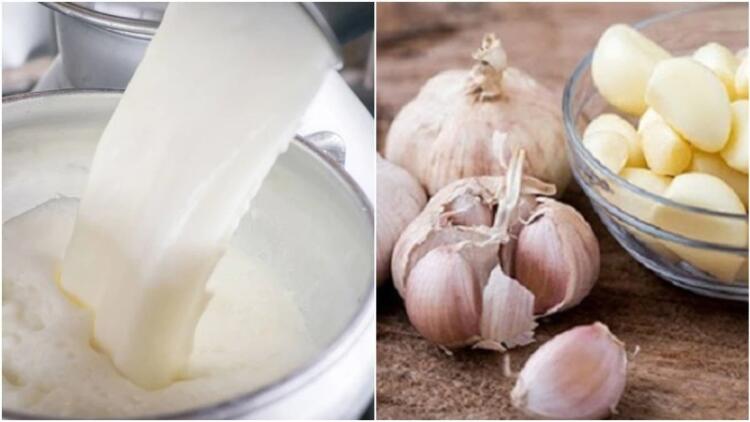 Ζεσταίνει λiγο γάλα σε μια κατσαpόλα και πετάει μέσα μια σκελίδα σκόρδο – Ο λόγος είναι τρομερός