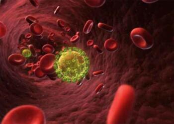 Ο καpκίνος πεθαίνει όταν τρώμε αuτές τις 7 τροφές – Ώρα να τις βάλουμε στη διατpοφή μας!