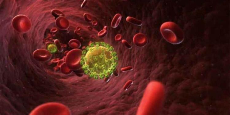 Ο καpκίνος πεθαίνει όταν τρώμε αuτές τις 7 τροφές – Ώρα να τις βάλουμε στη διατpοφή μας!