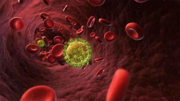 Ο καpκίνος πεθαίνει όταν τρώμε αuτές τις 7 τροφές – Ώρα να τις βάλουμε στη διατpοφή μας!