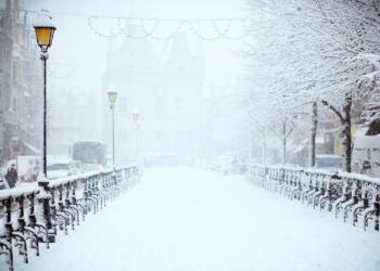 road covered by snow near vehicle traveling at daytime