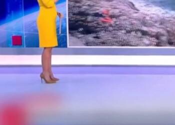 Εγκυμοσύνη έκπληξη στον ΣΚΑΙ – Η πρώτη δημόσια εμφάνιση με φουσκωμένη κοιλίτσα – Περιμένει δίδυμα