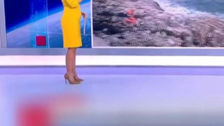 Εγκυμοσύνη έκπληξη στον ΣΚΑΙ – Η πρώτη δημόσια εμφάνιση με φουσκωμένη κοιλίτσα – Περιμένει δίδυμα