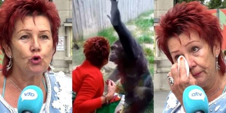 «Είμαστε ζευγάρι 4 χρόνια»: Ζωολογικός κήπος απαγόρευσε σε 38χρονη να βρίσκεται με τον χιμπατζή σύντροφό της