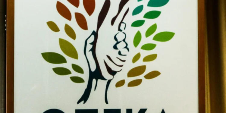 Κλείδωσε επίδομα 600 ευρώ με taxisnet απευθείας στο IBAN