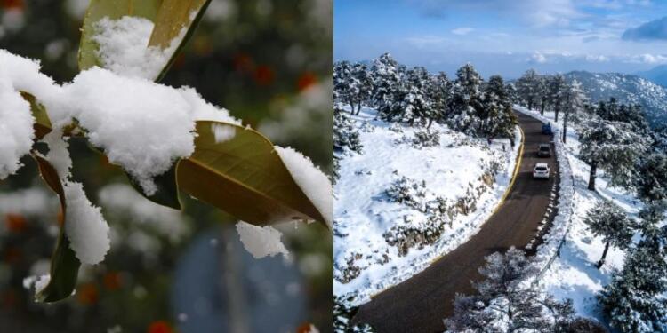 «Βέλος» χιονιά από τα Μερομήνια: «Οι δύο λευκές μέρες που κλείνουν τον χειμώνα…»